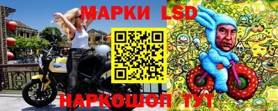 гидра Новодвинск