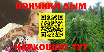 гидра Новодвинск