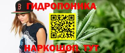 твердый Новозыбков