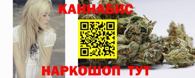 гидра Новодвинск
