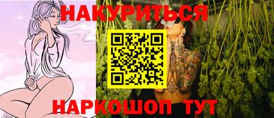 гидра Новодвинск
