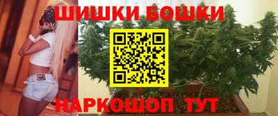 гидра Новодвинск