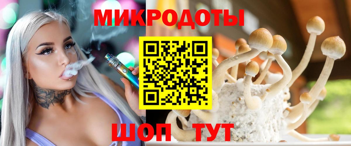 Альфа ПВП Туапсе